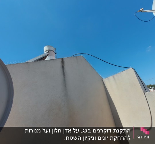 קוצים על קיר למניעת יונים על רקע שמיים כחולים